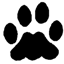 csclone.net