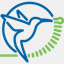 hummingbird-diagnostics.com