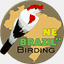 nebrazilbirding.com