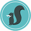 squirrelstashnuts.com