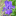 bloominiris.com