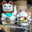 chillingkat.com