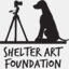 shelterartfoundation.org