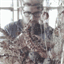 aslowarchive.com