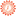 robinpetitleoni.com