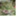 allthingsgarden.wordpress.com
