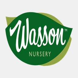 wassonnursery.com