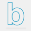 bcg.co.cr