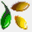 carbolea.com