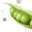 podofpeas.com