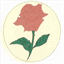 stleonardsnursery.com