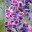 ljr3.wordpress.com