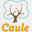 caule.com.br