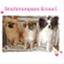 snutterumpans.wordpress.com