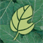 botanicgreen.com