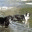 fearfuldogs.wordpress.com