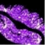 colormeepurple.com