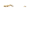 wickhome.com
