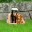 mitthunderi.wordpress.com
