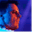 markusschulz.hu