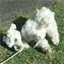 hugoandmurphy.com
