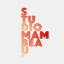 studiomambeau.nl