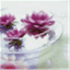 addimaky.wordpress.com