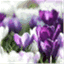 inyaz19.wordpress.com