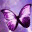 sparklingbutterfly.wordpress.com