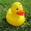 parteyduck.com