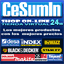 cesumin.info