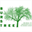 bursttree.com