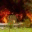 blogletitburn.wordpress.com