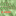 otiswyrickanimator.com