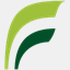 flement.org