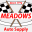 meadowsautosupply.com