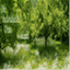individuelle-urne.de