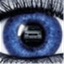 thebooklookery.com