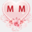 imm.istcg.com