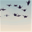 briannahawk.wordpress.com