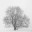 forestofdeanblog.com