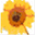 foping.agri.com.cn