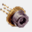 diodoled.com