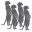 daimat.com