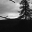 monstring2009.wordpress.com