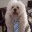 ceo4aday.wordpress.com