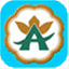 yantoy.net