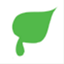 steico.net