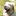 indy-alpindog.blogspot.com