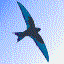 swifttec.com